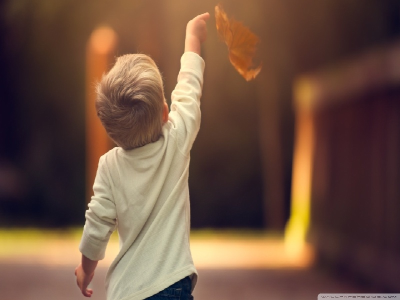 杨女士成功案例